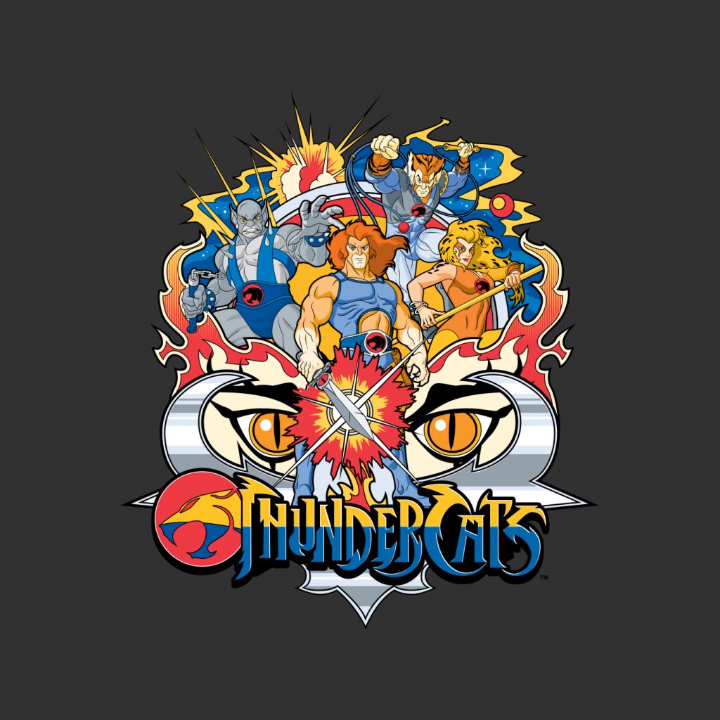 Thundercats Character Montage Men's Hooded Sweatshirt-ALL + EVERY