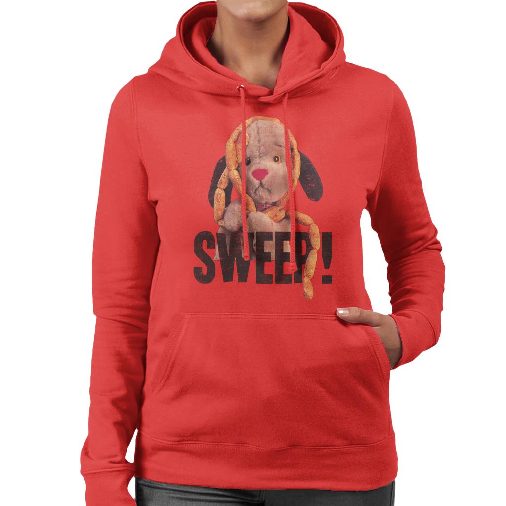 Sooty Sausages Sweep Distressed Women's Hooded Sweatshirt-ALL + EVERY