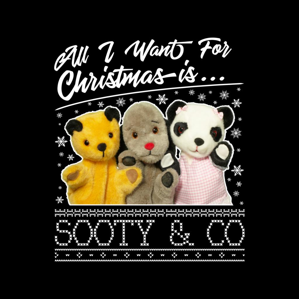 Sooty Christmas All I Want For Christmas Is Sooty And Co Men's T-Shirt-ALL + EVERY