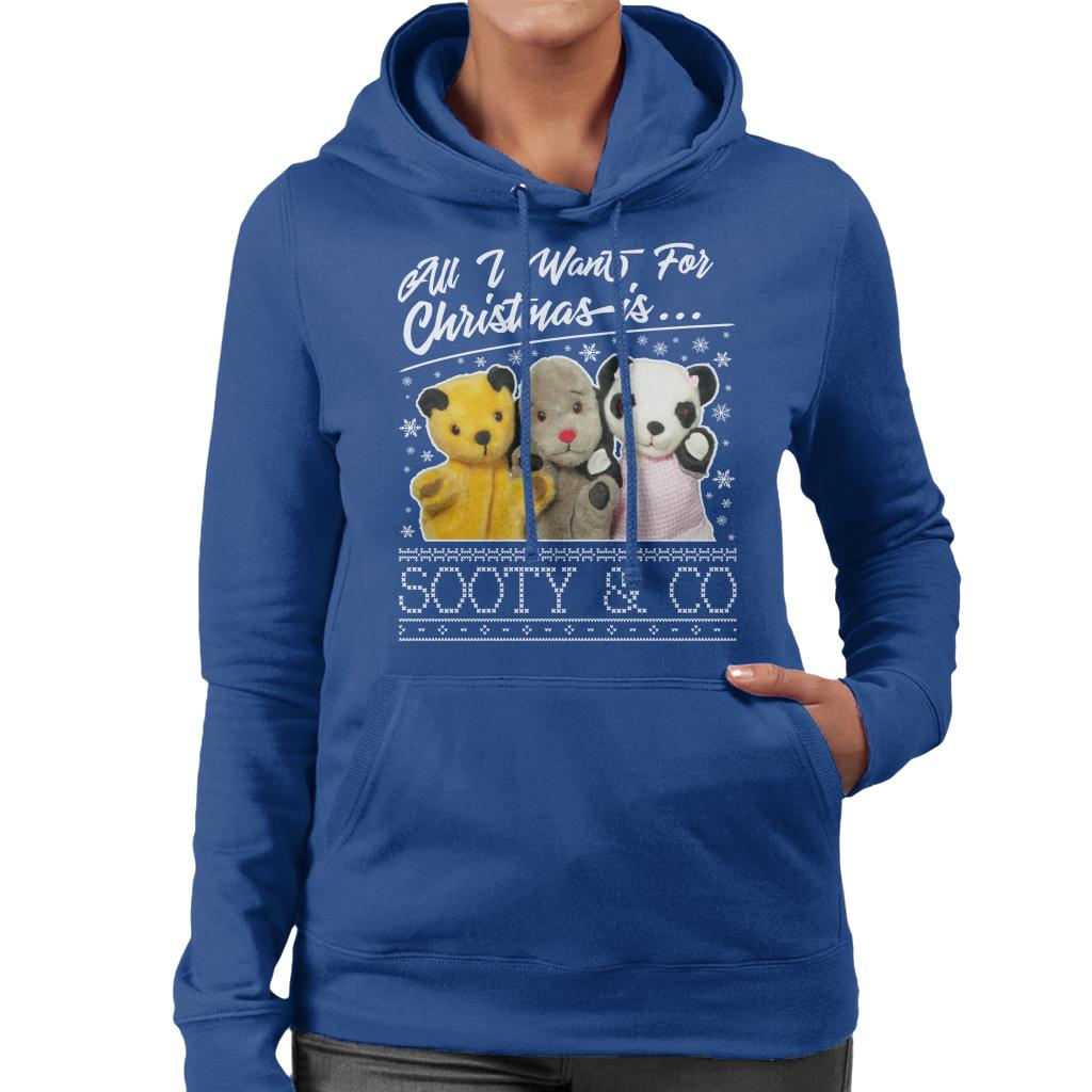 Sooty Christmas All I Want For Christmas Is Sooty And Co Women's Hooded Sweatshirt-ALL + EVERY