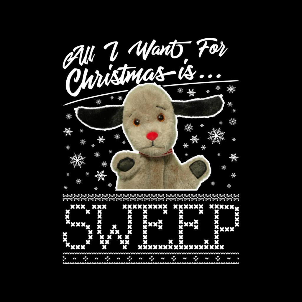 Sooty Christmas All I Want For Christmas Is Sweep Women's Sweatshirt-ALL + EVERY