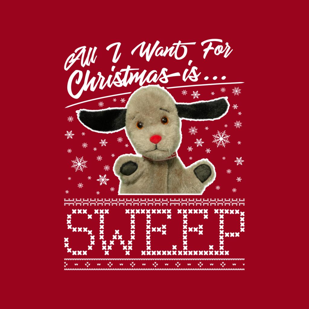 Sooty Christmas All I Want For Christmas Is Sweep Women's Hooded Sweatshirt-ALL + EVERY