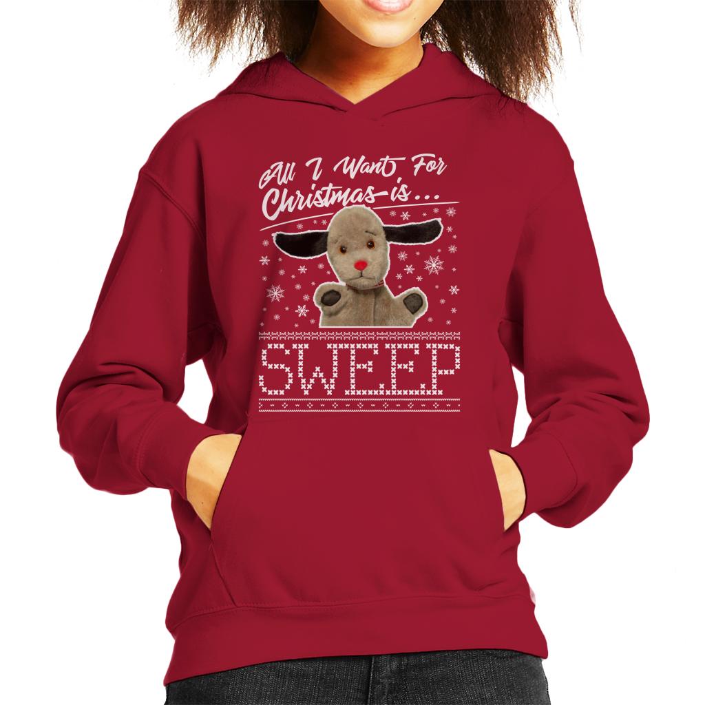 Sooty Christmas All I Want For Christmas Is Sweep Kids Hooded Sweatshirt-ALL + EVERY