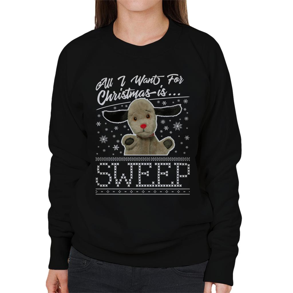 Sooty Christmas All I Want For Christmas Is Sweep Women's Sweatshirt-ALL + EVERY