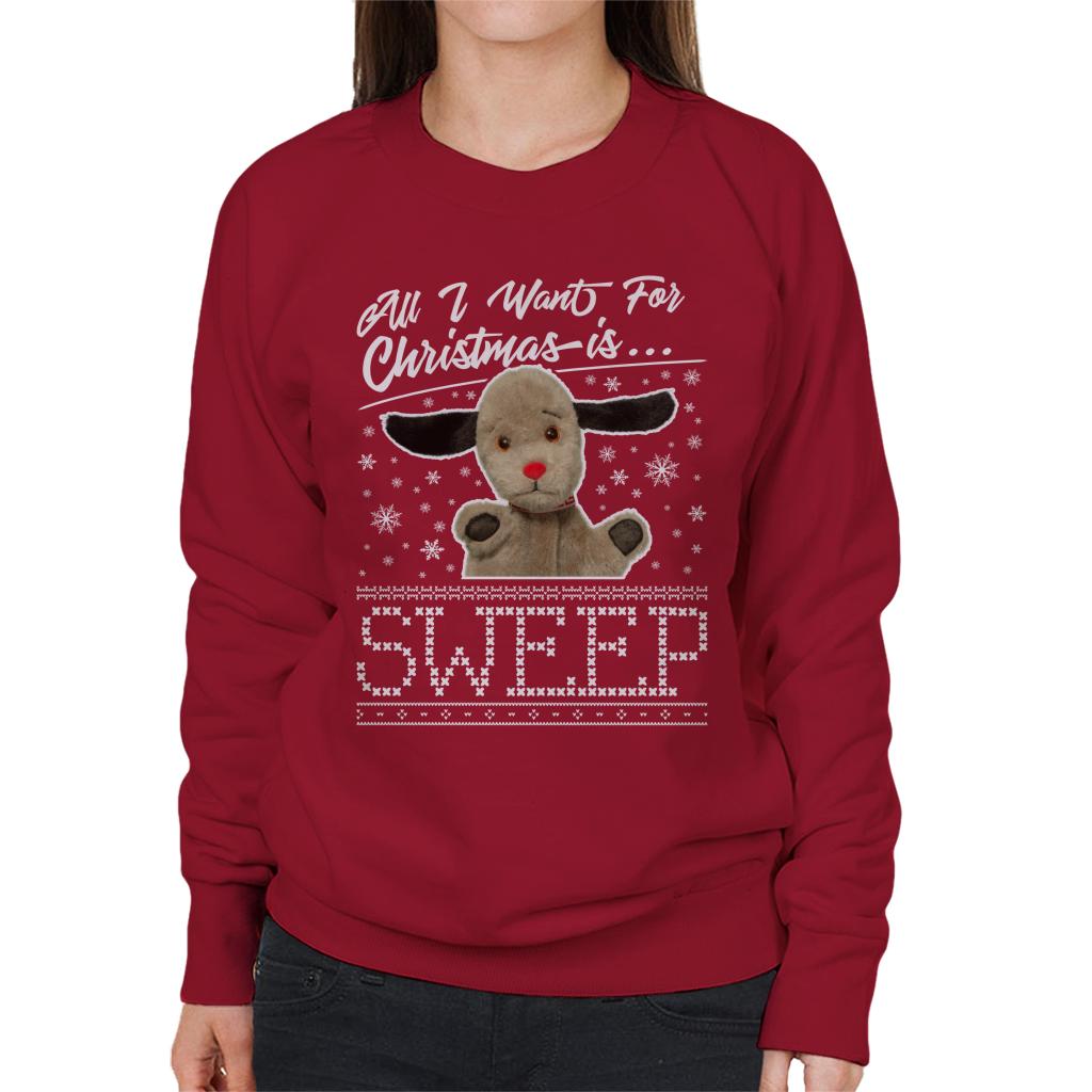 Sooty Christmas All I Want For Christmas Is Sweep Women's Sweatshirt-ALL + EVERY