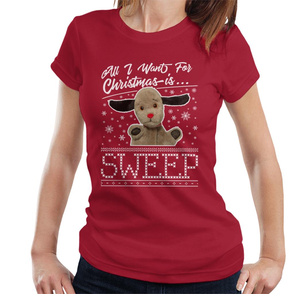 Sooty Christmas All I Want For Christmas Is Sweep Women's T-Shirt-ALL + EVERY