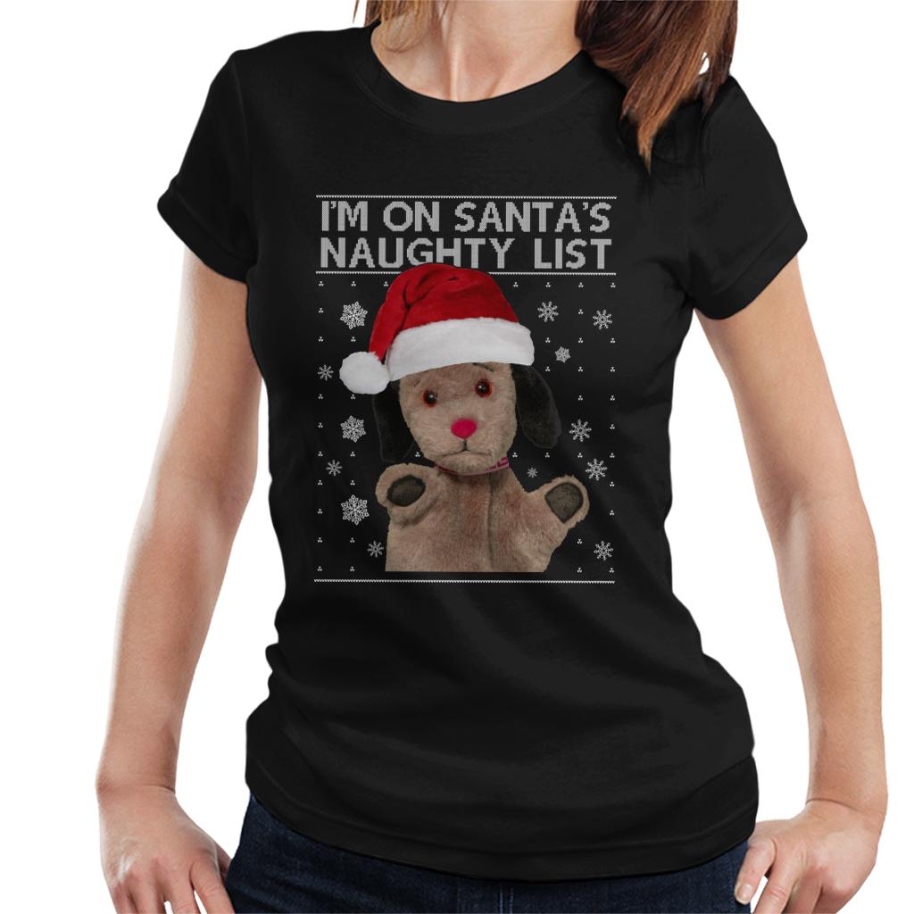 Sooty Christmas Sweep Im On Santas Naughty List Women's T-Shirt-ALL + EVERY