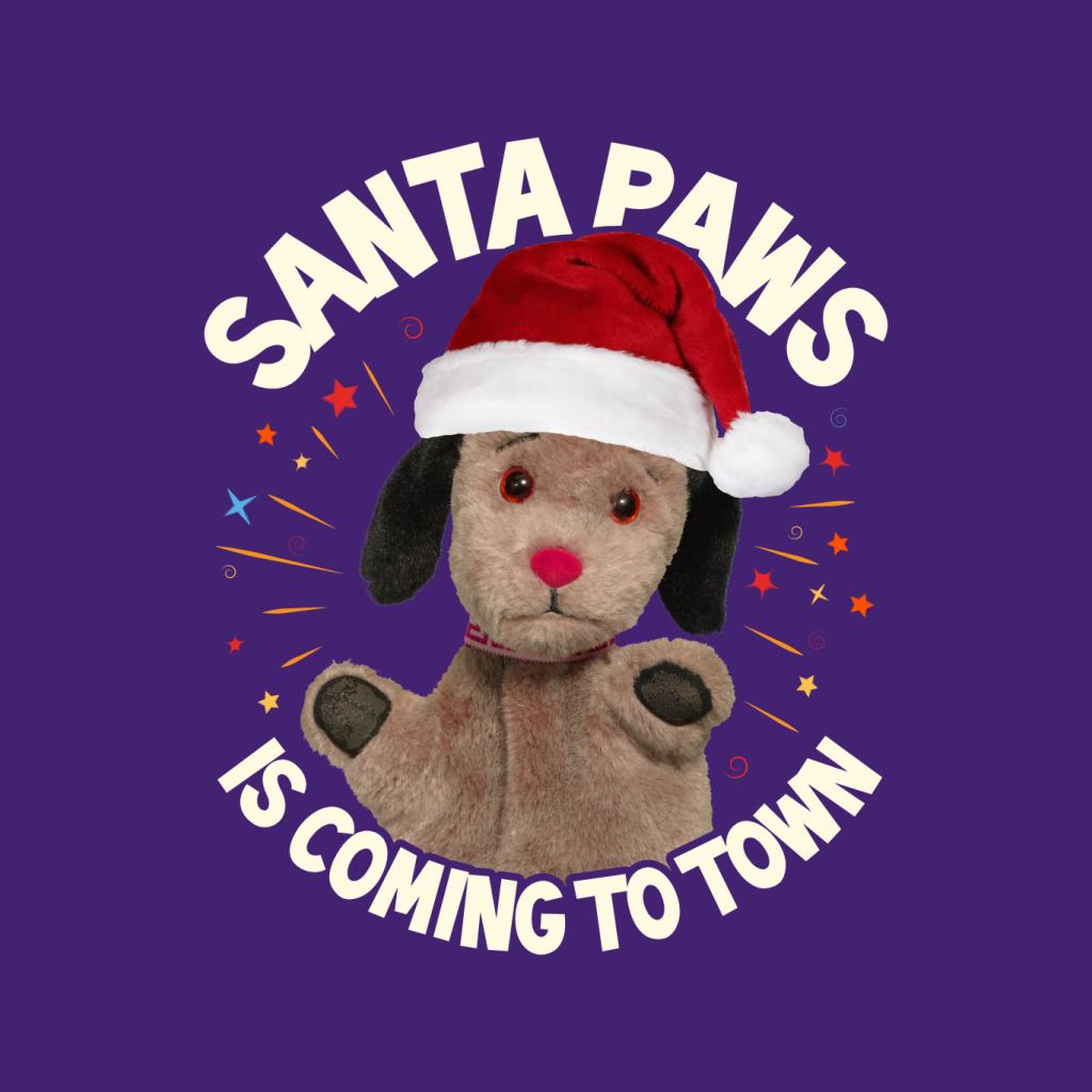 Sooty Christmas Sweep Santa Paws Is Coming To Town Women's T-Shirt-ALL + EVERY